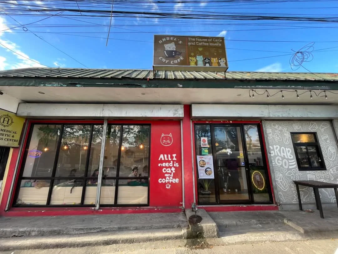 Angel's Cat Cafe, Dasmariñas